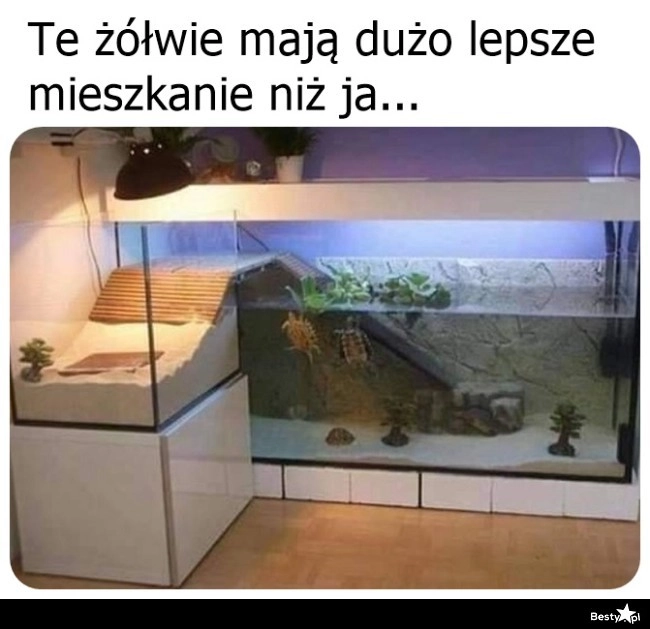 
    Nie ma sprawiedliwości na tym świecie 