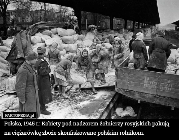 
    Polska, 1945 r.: Kobiety pod nadzorem żołnierzy rosyjskich pakują na ciężarówkę