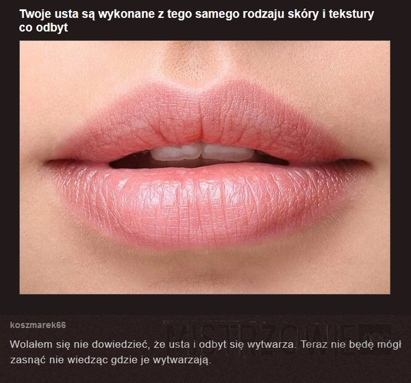 
    Wytwórczość