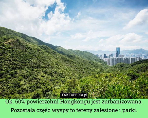 
    Ok. 60% powierzchni Hongkongu jest zurbanizowana. Pozostała część wyspy