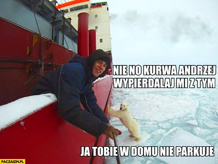 
    Nie no Andrzej, wypieprzaj mi z tym. Ja Tobie w domu nie parkuję miś niedźwiedź polarny przepycha statek