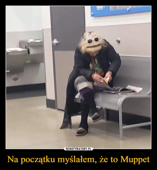 
    Na początku myślałem, że to Muppet