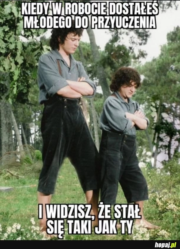 
    Szybko się uczy