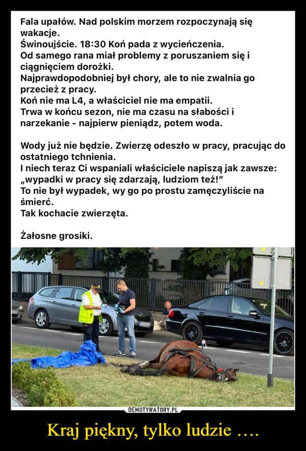 
    Kraj piękny, tylko ludzie ….