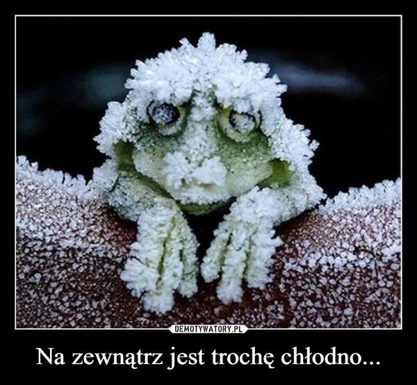 
    Na zewnątrz jest trochę chłodno...