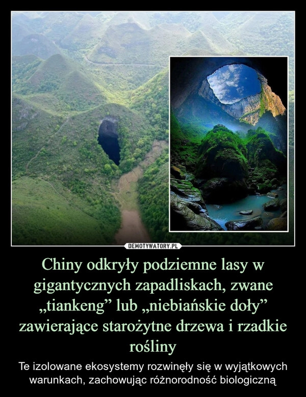 
    Chiny odkryły podziemne lasy w gigantycznych zapadliskach, zwane „tiankeng” lub „niebiańskie doły” zawierające starożytne drzewa i rzadkie rośliny