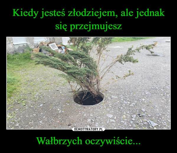 
    Kiedy jesteś złodziejem, ale jednak się przejmujesz Wałbrzych oczywiście...