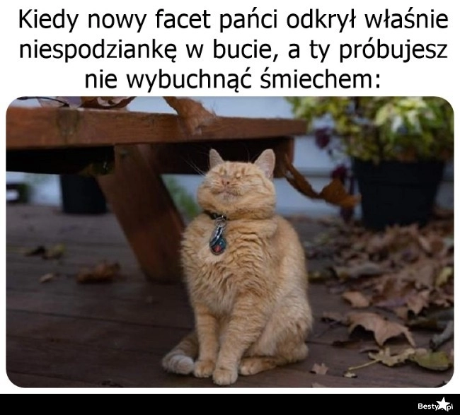 
    Mały żarcik na początek 