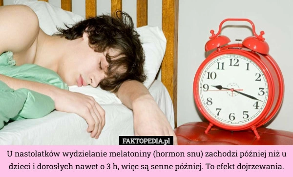 
    U nastolatków, wydzielanie melatoniny (hormon snu) zachodzi później niż