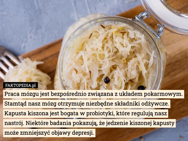 
    Praca mózgu jest bezpośrednio związana z układem pokarmowym. Stamtąd nasz
