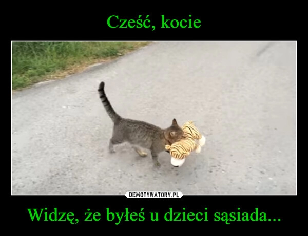 
    Cześć, kocie Widzę, że byłeś u dzieci sąsiada...