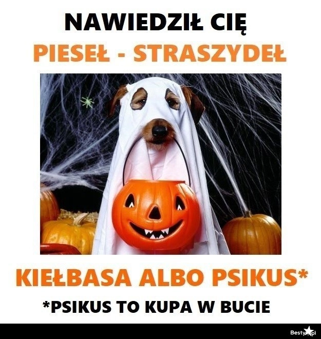 
    Pieseł straszydeł 