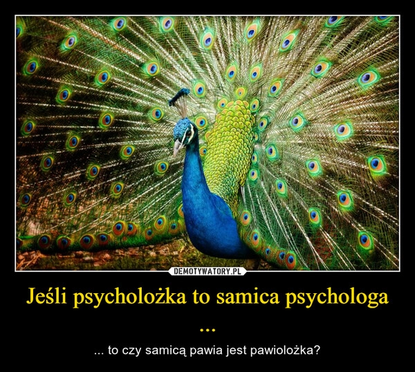 
    Jeśli psycholożka to samica psychologa ... 