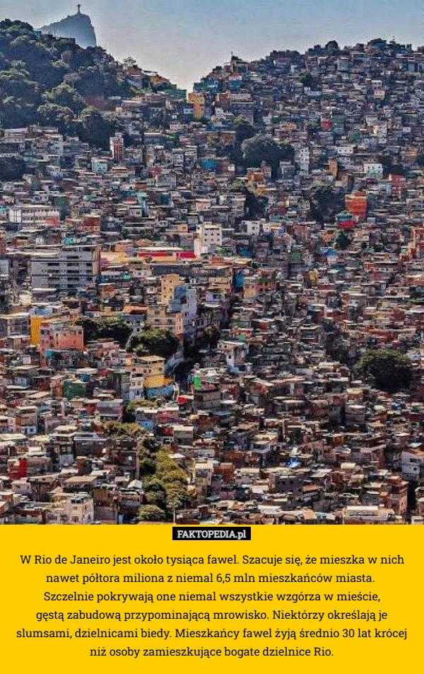 
    W Rio de Janeiro jest około tysiąca fawel. Szacuje się, że mieszka w nich