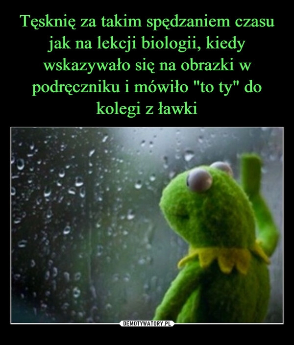 
    Tęsknię za takim spędzaniem czasu jak na lekcji biologii, kiedy wskazywało się na obrazki w podręczniku i mówiło "to ty" do kolegi z ławki