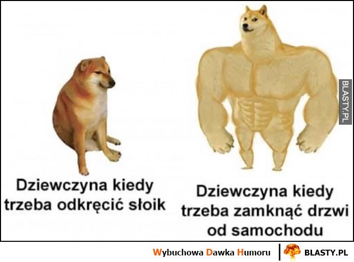 
    Dziewczyna kiedy trzeba odkręcić słoik vs kiedy trzeba zamknąć drzwi do samochodu pies pieseł doge cheems