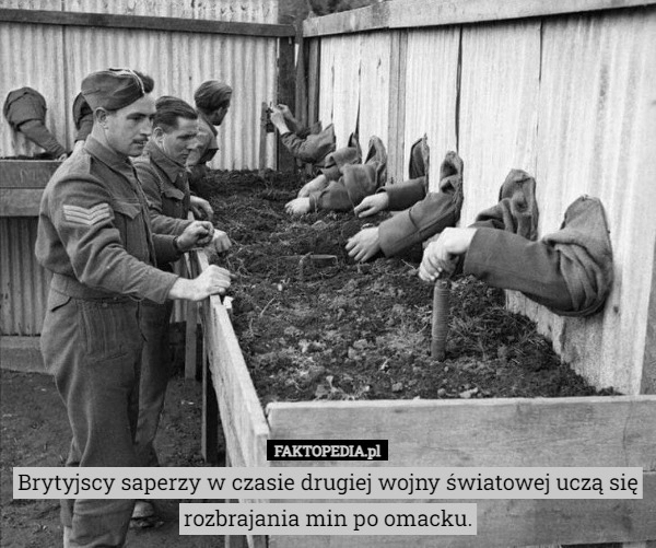 
    Brytyjscy saperzy w czasie drugiej wojny światowej uczą się rozbrajania