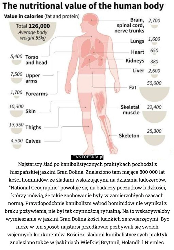 
    Najstarszy ślad po kanibalistycznych praktykach pochodzi z hiszpańskiej