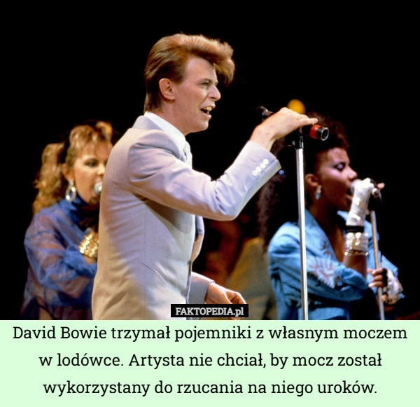 
    David Bowie trzymał pojemniki z własnym moczem w lodówce. Artysta nie chciał,