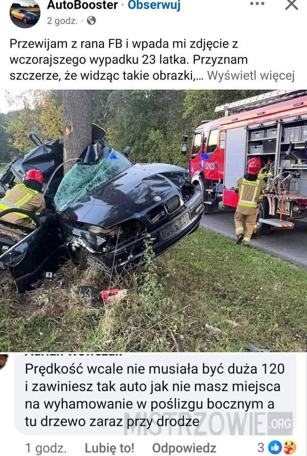 
    Drzewo