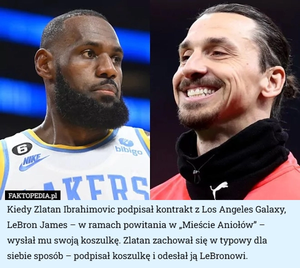 
    Kiedy Zlatan Ibrahimovic podpisał kontrakt z Los Angeles Galaxy, LeBron...