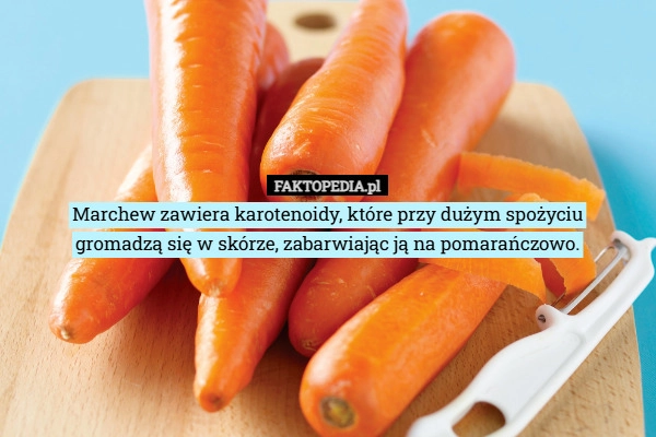 
    Marchew zawiera karotenoidy, które przy dużym spożyciu
gromadzą się w skórze,