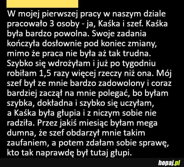 
    Kiedy w końcu dociera do Ciebie, kto tu jest głupi