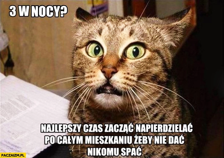 
    Kot kocia logika 3 w nocy najlepszy czas żeby nie dać nikomu spać