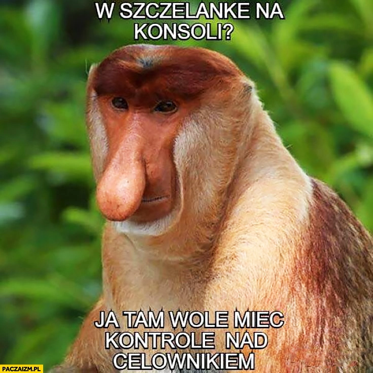 
    W strzelankę na konsoli ja tam wolę mieć kontrolę nad celownikiem typowy Polak nosacz małpa