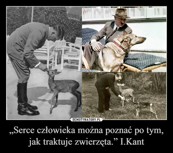 
    „Serce człowieka można poznać po tym, jak traktuje zwierzęta.” I.Kant