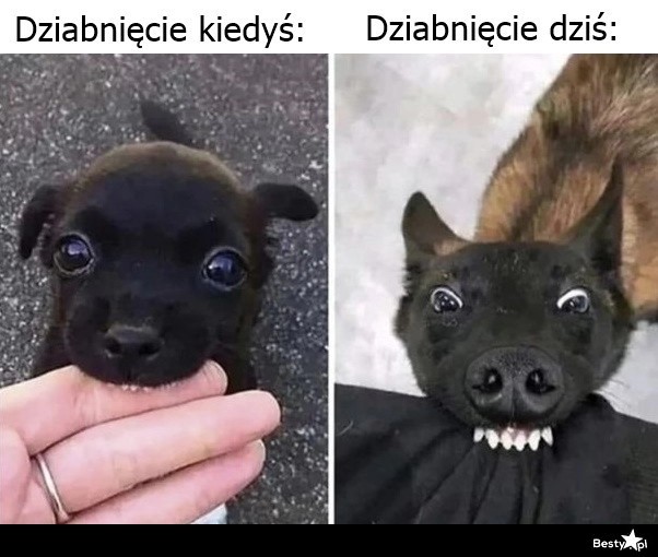 
    Dziabnięcie 