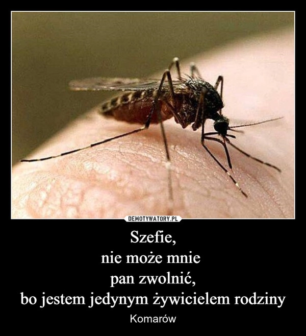 
    Szefie,
nie może mnie 
pan zwolnić,
bo jestem jedynym żywicielem rodziny