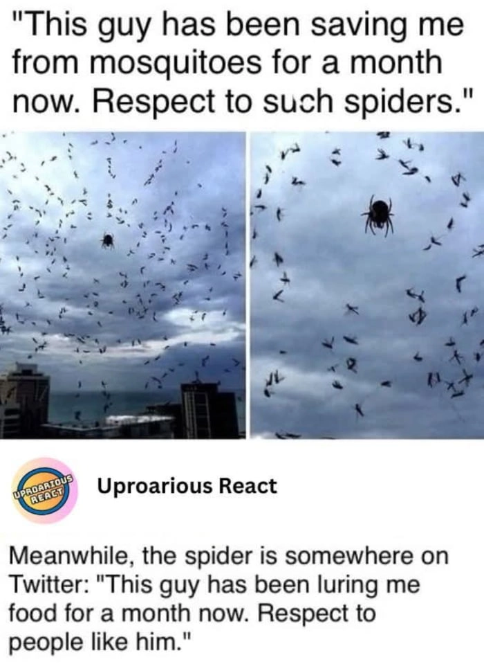 
    Mutual respect