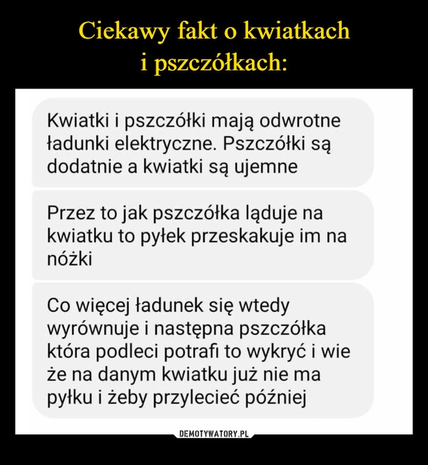 
    Ciekawy fakt o kwiatkach
i pszczółkach: