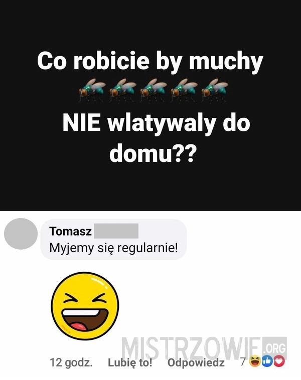 
    Sposób na muchy