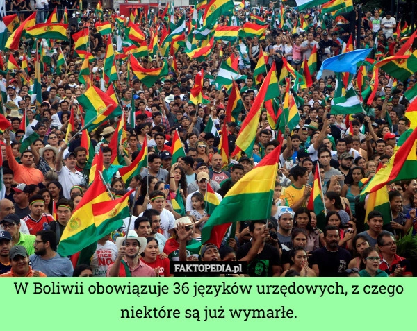 
    W Boliwii obowiązuje 36 języków urzędowych, z czego niektóre są już wymarłe.