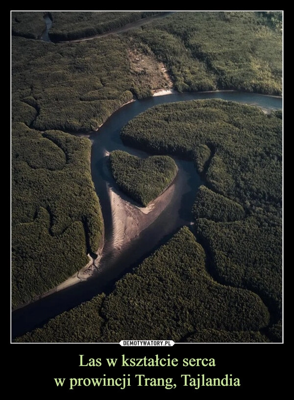 
    Las w kształcie serca
w prowincji Trang, Tajlandia