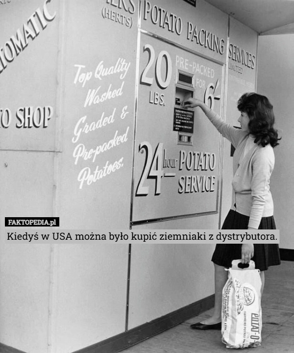 
    Kiedyś w USA można było kupić ziemniaki z dystrybutora.
