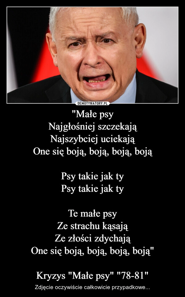 
    "Małe psy
Najgłośniej szczekają
Najszybciej uciekają
One się boją, boją, boją, boją

Psy takie jak ty
Psy takie jak ty

Te małe psy
Ze strachu kąsają
Ze złości zdychają
One się boją, boją, boją, boją"

Kryzys "Małe psy" "78-81"