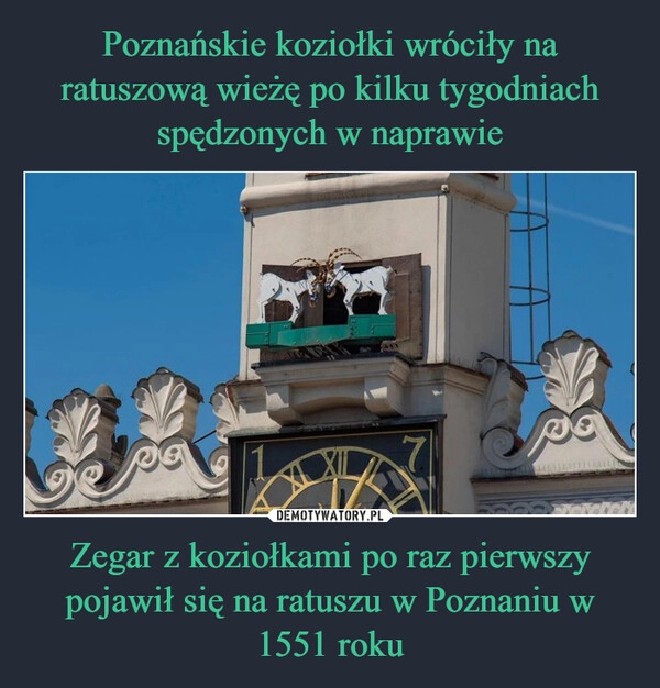 
    Poznańskie koziołki wróciły na ratuszową wieżę po kilku tygodniach spędzonych w naprawie Zegar z koziołkami po raz pierwszy pojawił się na ratuszu w Poznaniu w 1551 roku