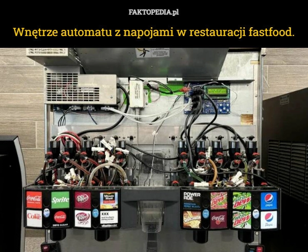 
    Wnętrze automatu z napojami w restauracji fastfood.