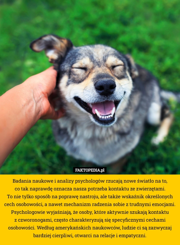 
    Badania naukowe i analizy psychologów rzucają nowe światło na to,
 co tak