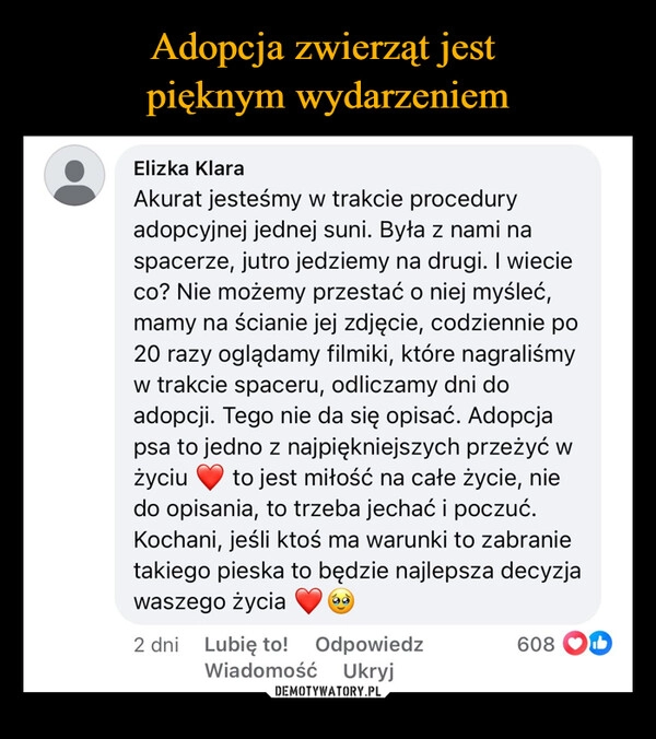 
    Adopcja zwierząt jest 
pięknym wydarzeniem