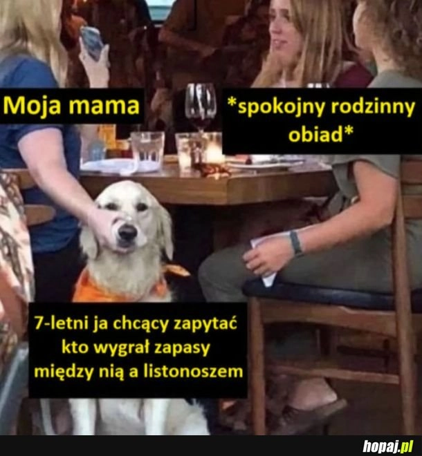 
    Zapasy