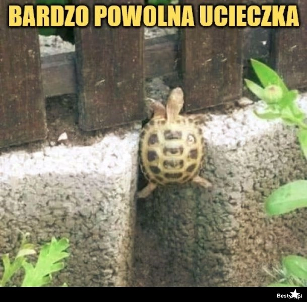 
    Powolna ucieczka 