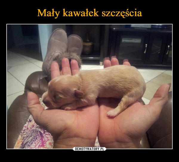 
    Mały kawałek szczęścia