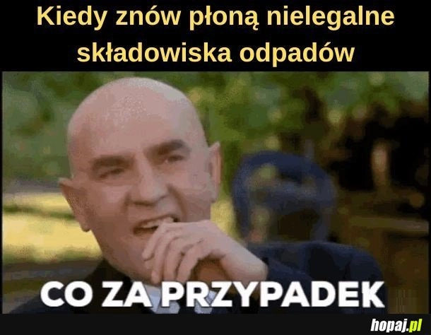 
    Przypadek.