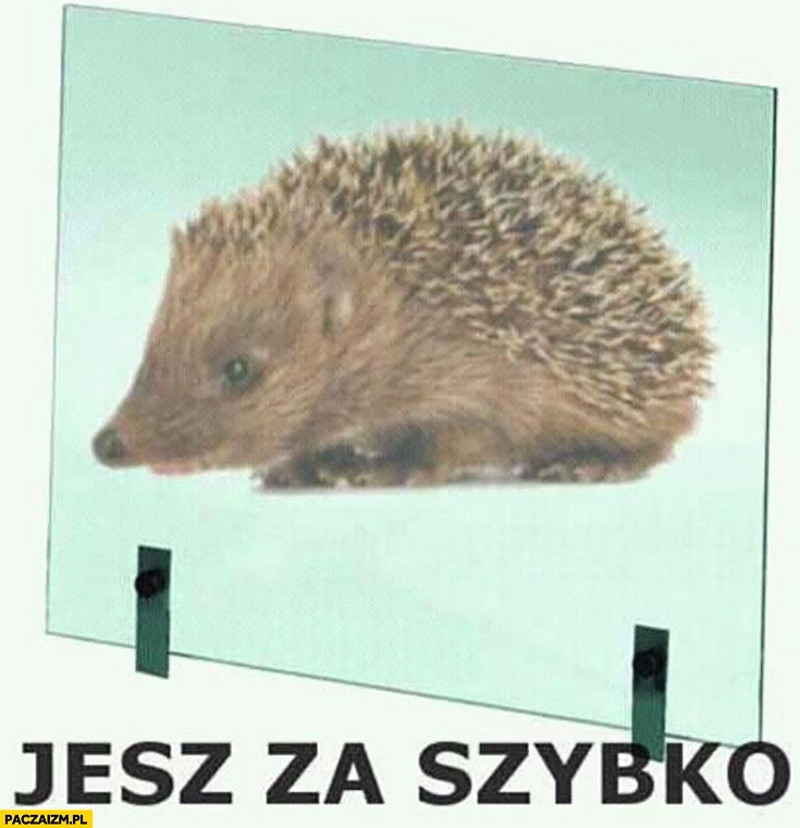 
    Jesz za szybko jeż jeżyk