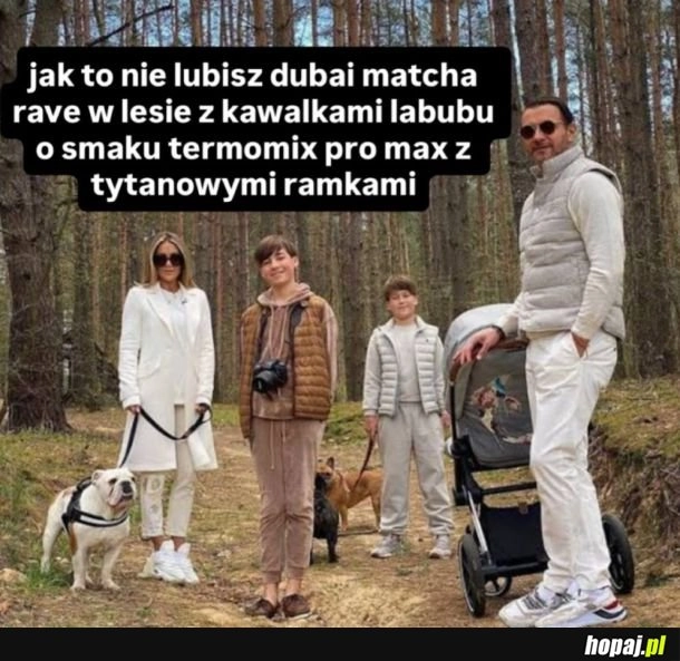 
    Takie tam w lesie