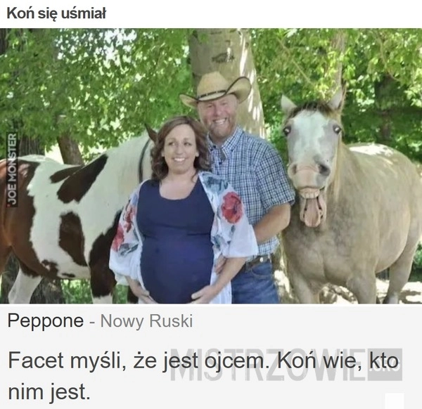 
    Koń się uśmiał